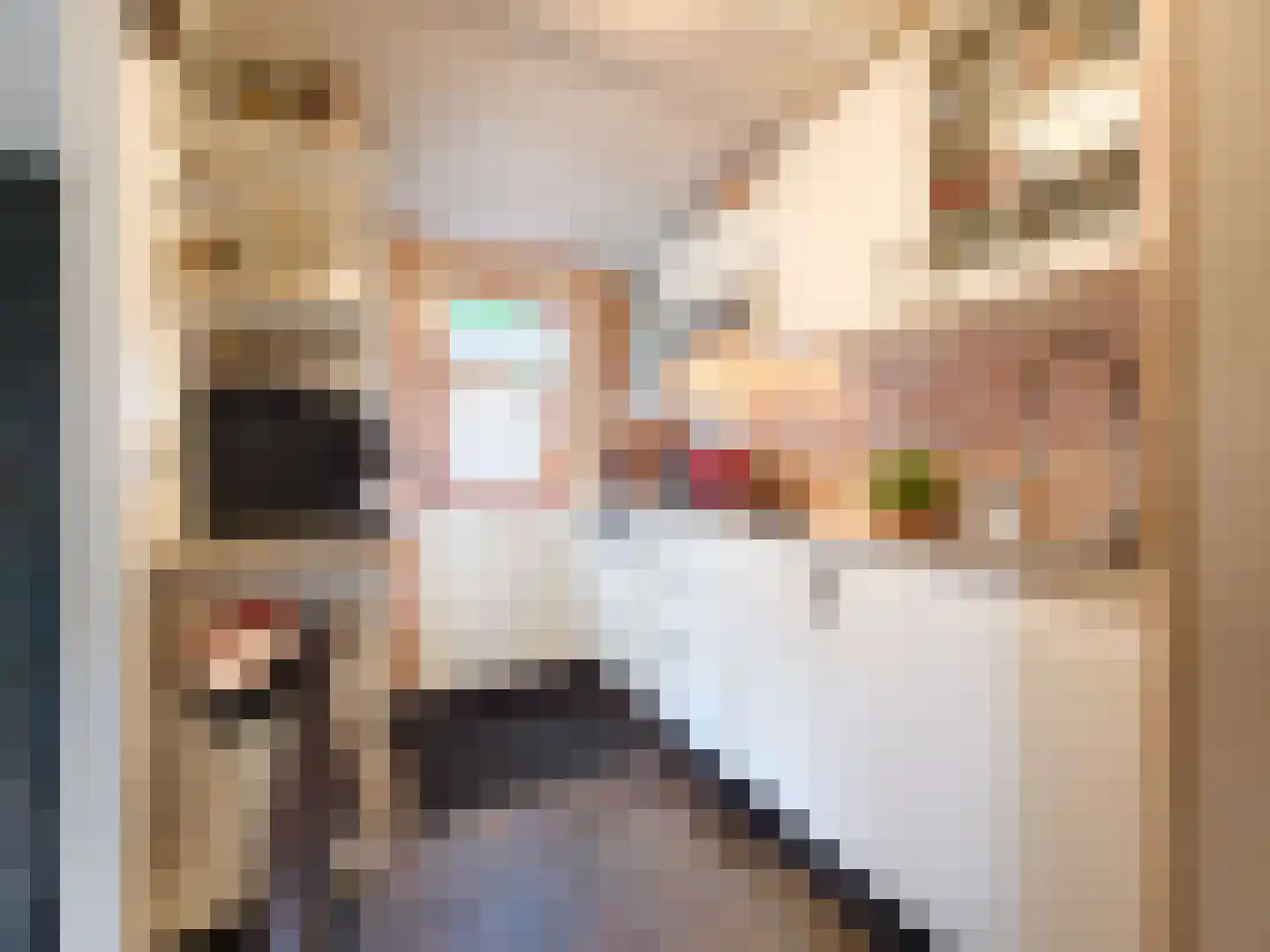 Kamillepad 9 Wanssum thumbnail 25