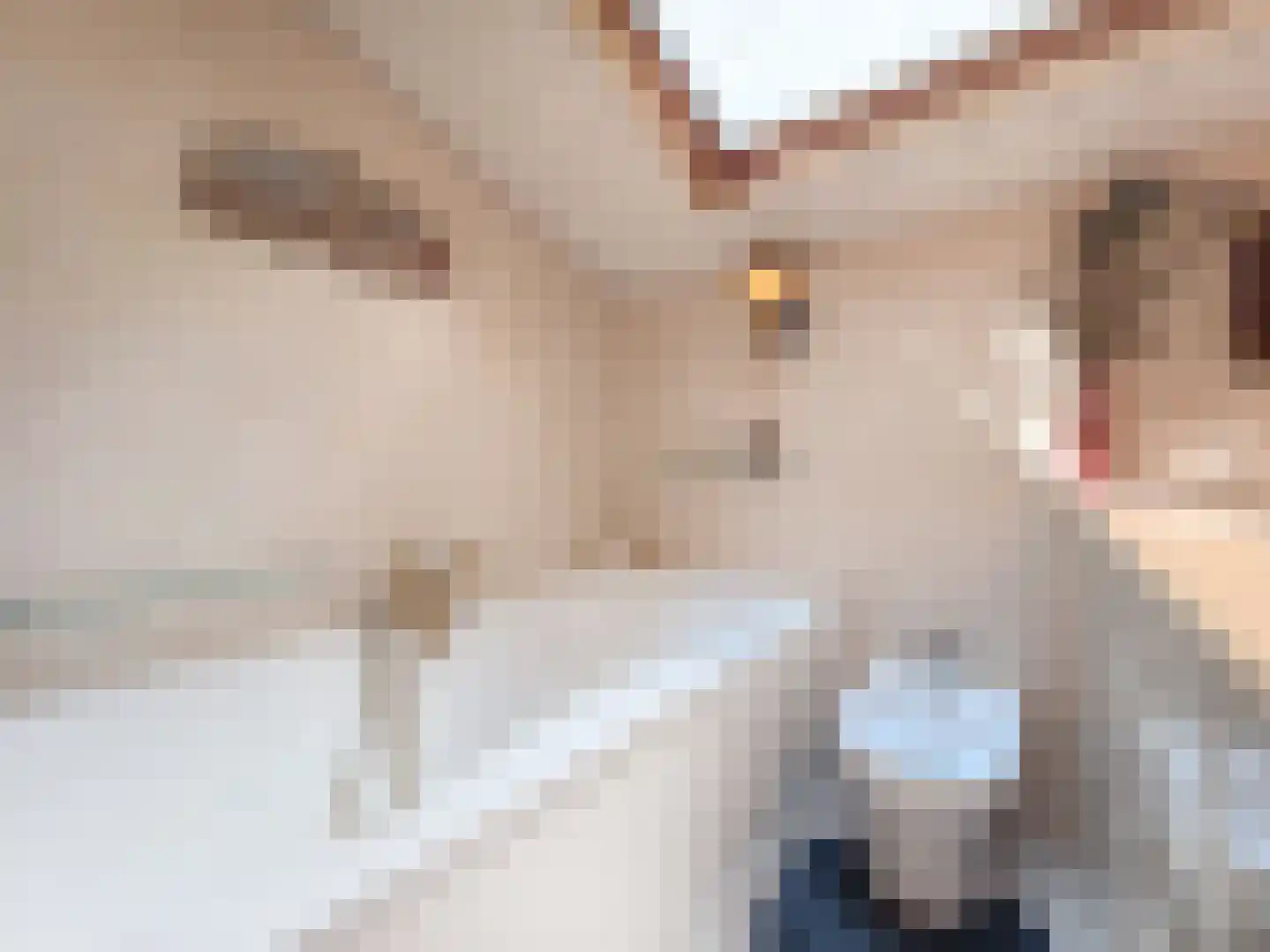 Kamillepad 9 Wanssum thumbnail 28