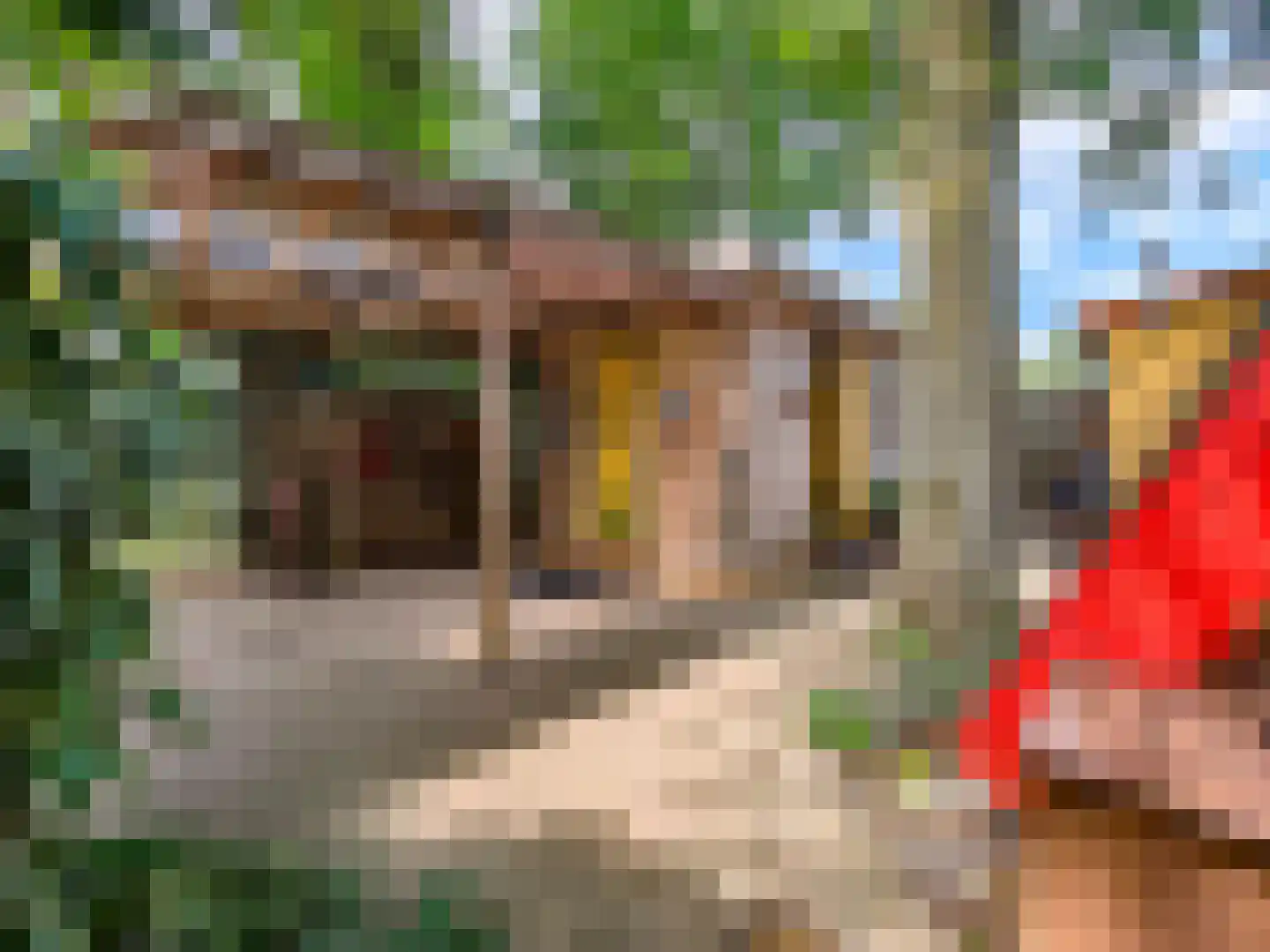 Kamillepad 9 Wanssum thumbnail 37