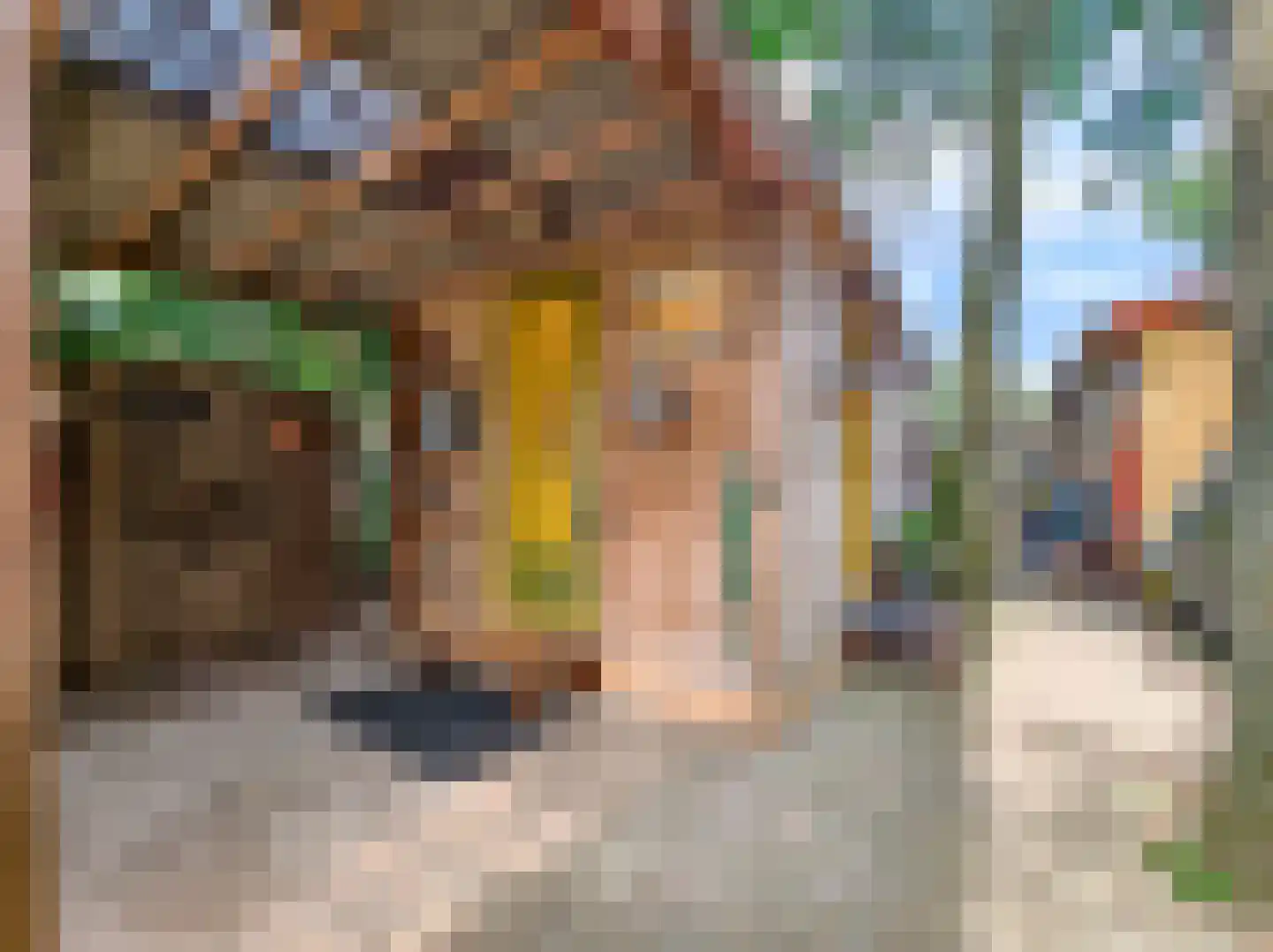 Kamillepad 9 Wanssum thumbnail 38