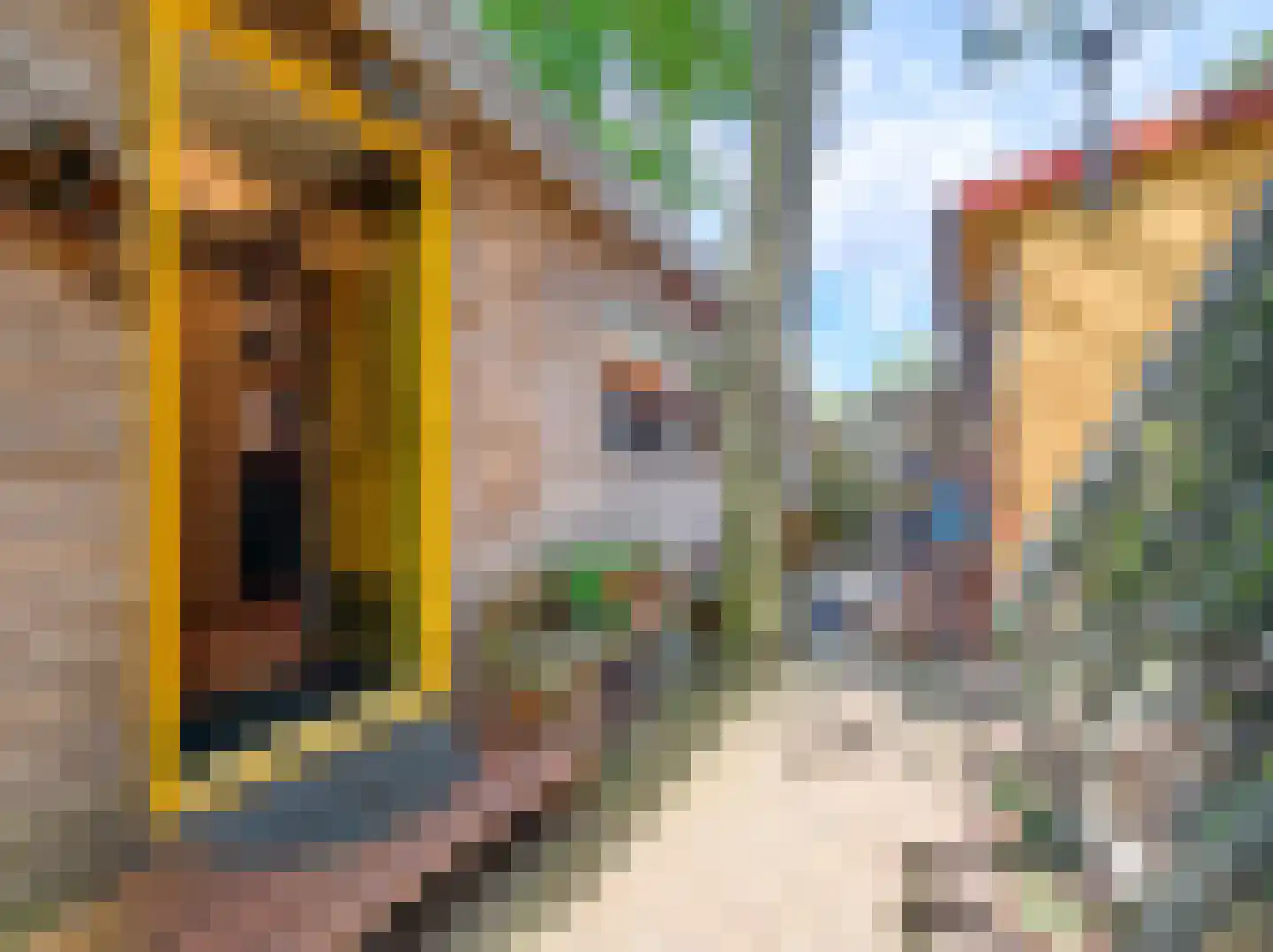 Kamillepad 9 Wanssum thumbnail 39