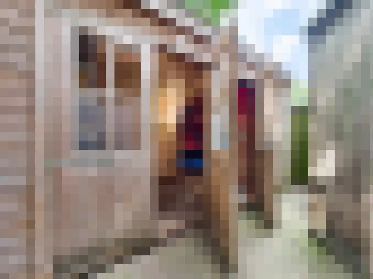 Kamillepad 9 Wanssum thumbnail 40