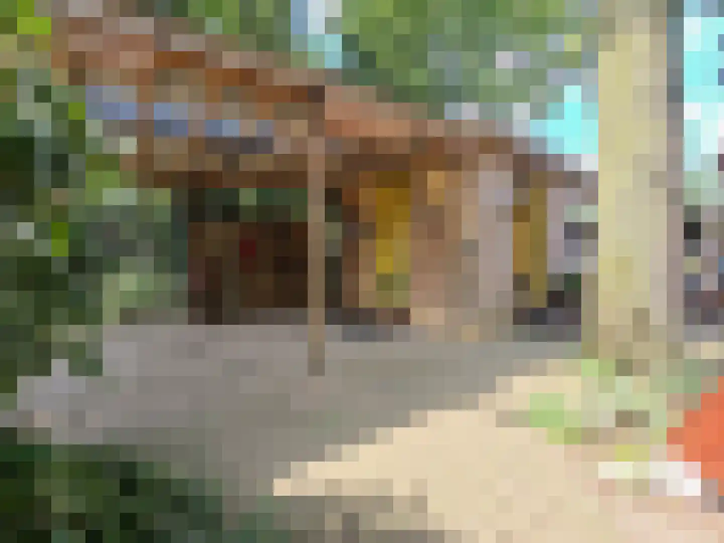 Kamillepad 9 Wanssum thumbnail 41