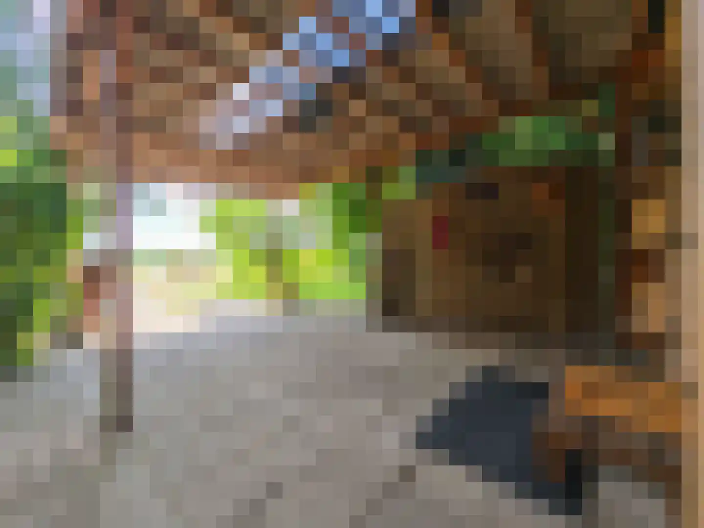 Kamillepad 9 Wanssum thumbnail 42