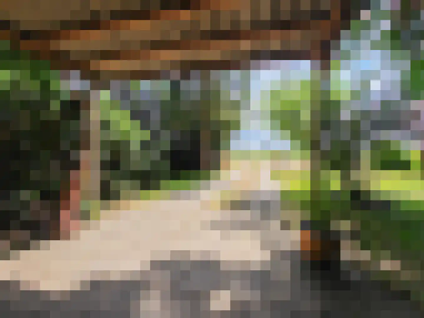 Kamillepad 9 Wanssum thumbnail 43