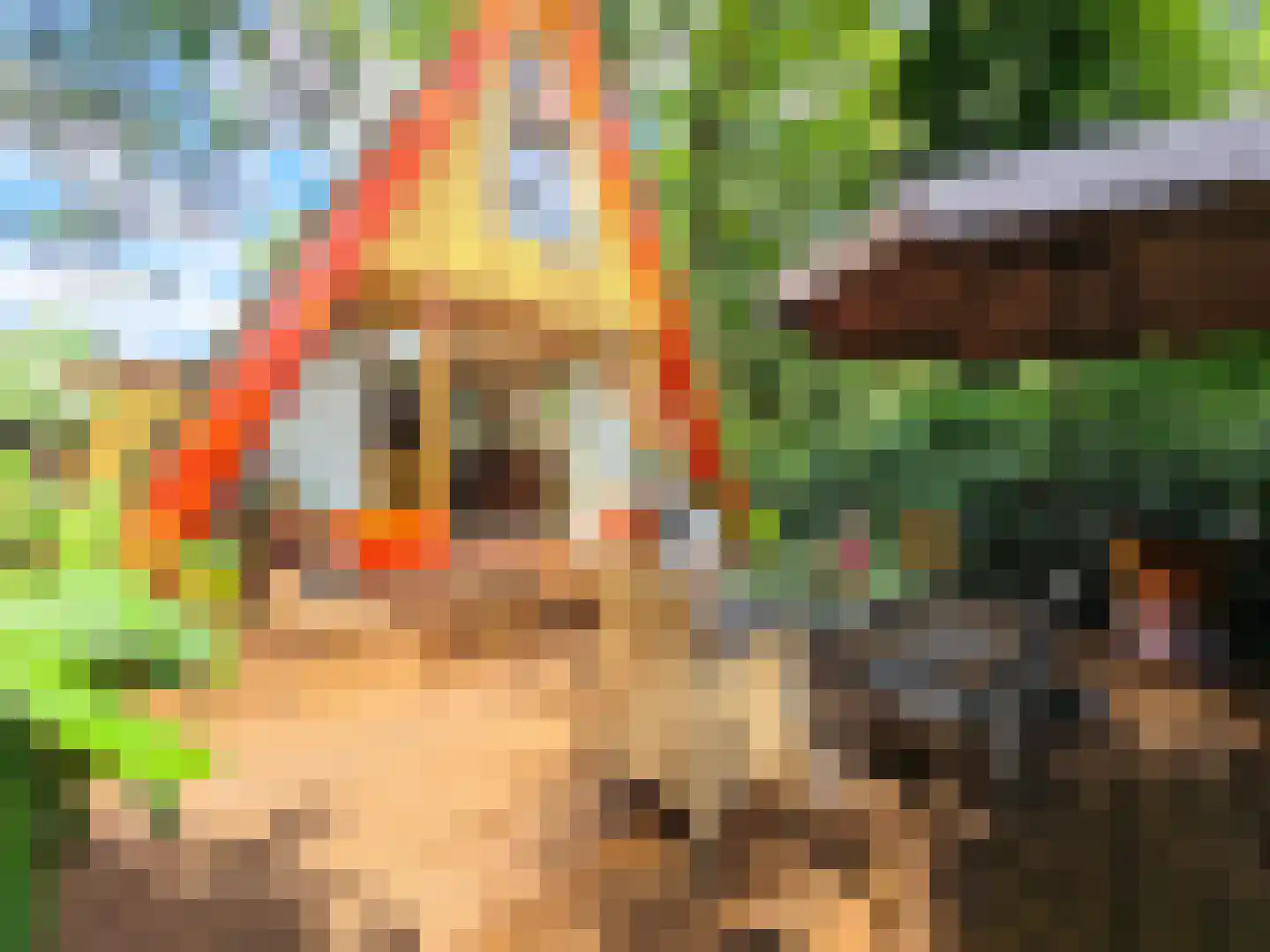 Kamillepad 9 Wanssum thumbnail 5