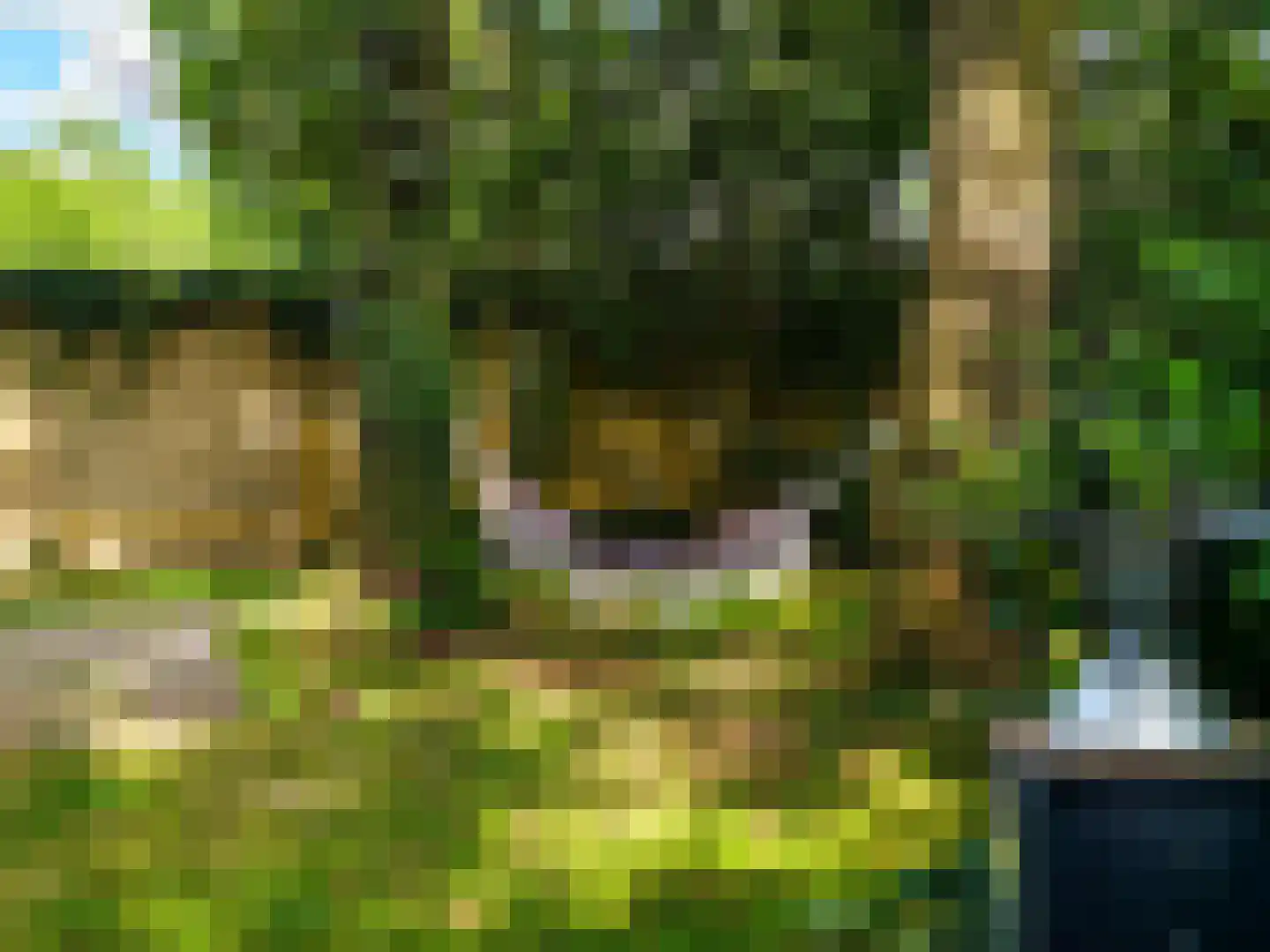 Kamillepad 9 Wanssum thumbnail 55