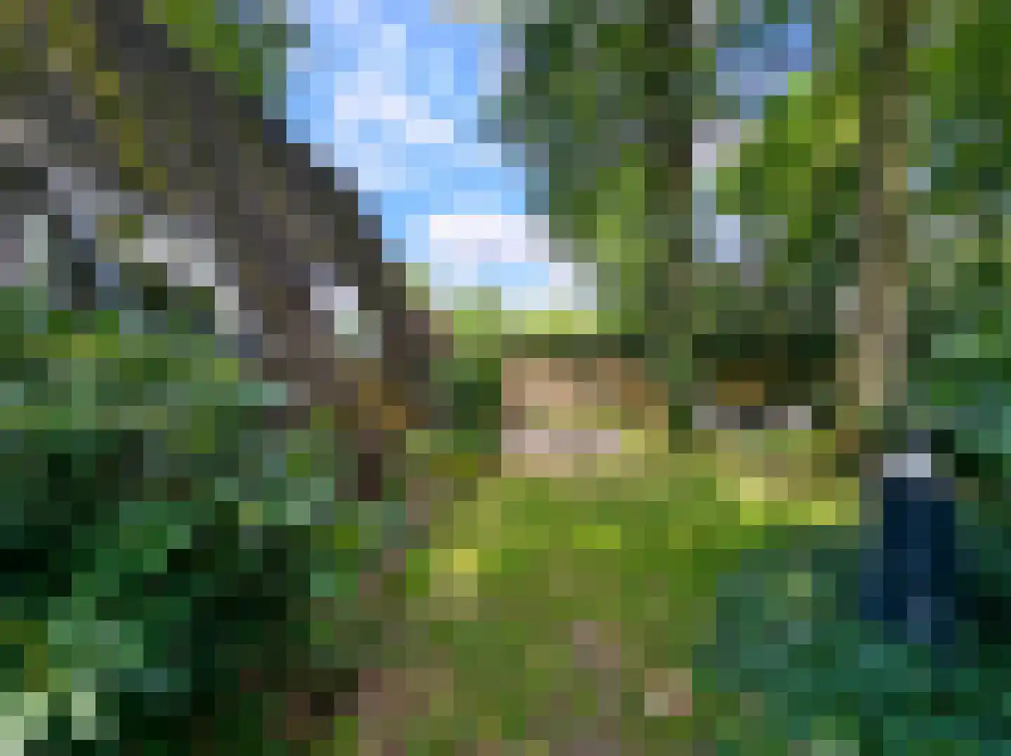 Kamillepad 9 Wanssum thumbnail 56