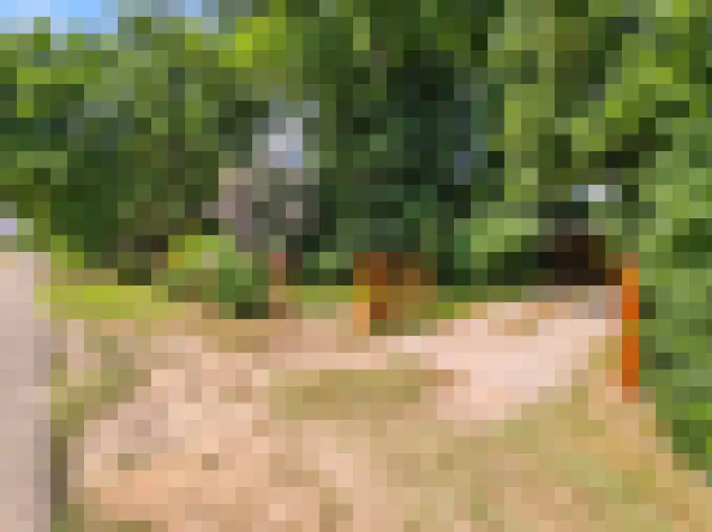 Kamillepad 9 Wanssum thumbnail 59