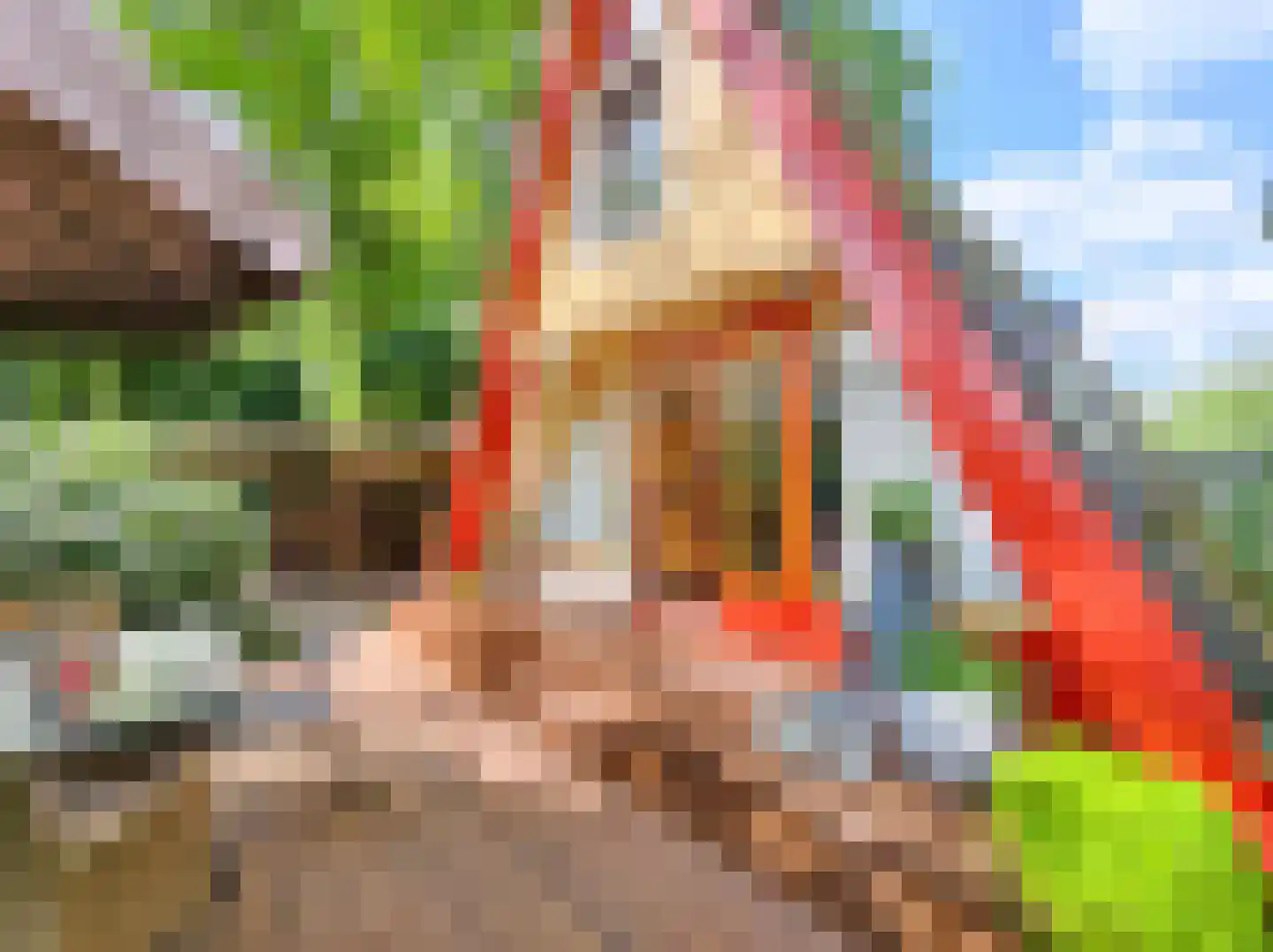 Kamillepad 9 Wanssum thumbnail 6