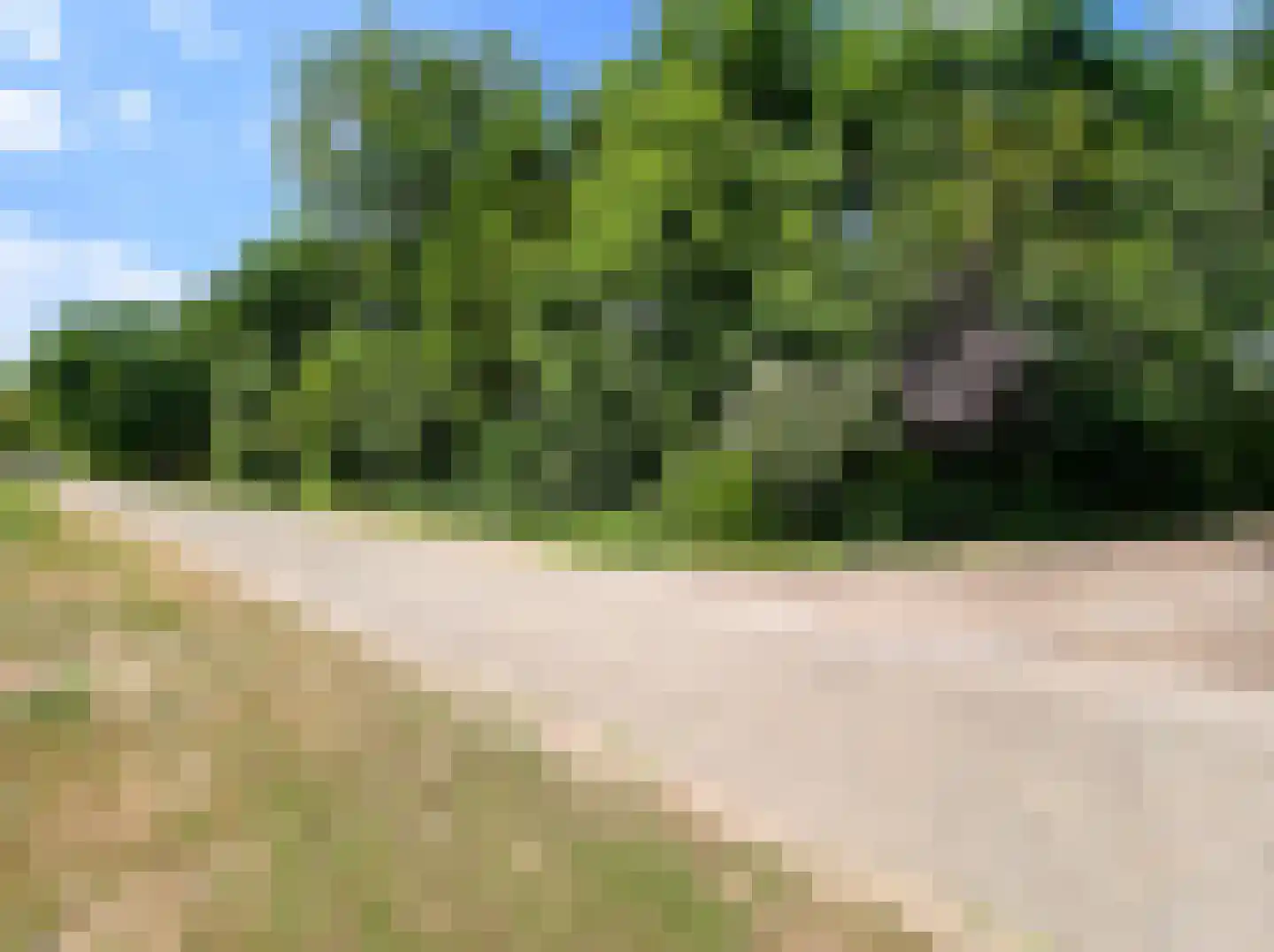 Kamillepad 9 Wanssum thumbnail 60