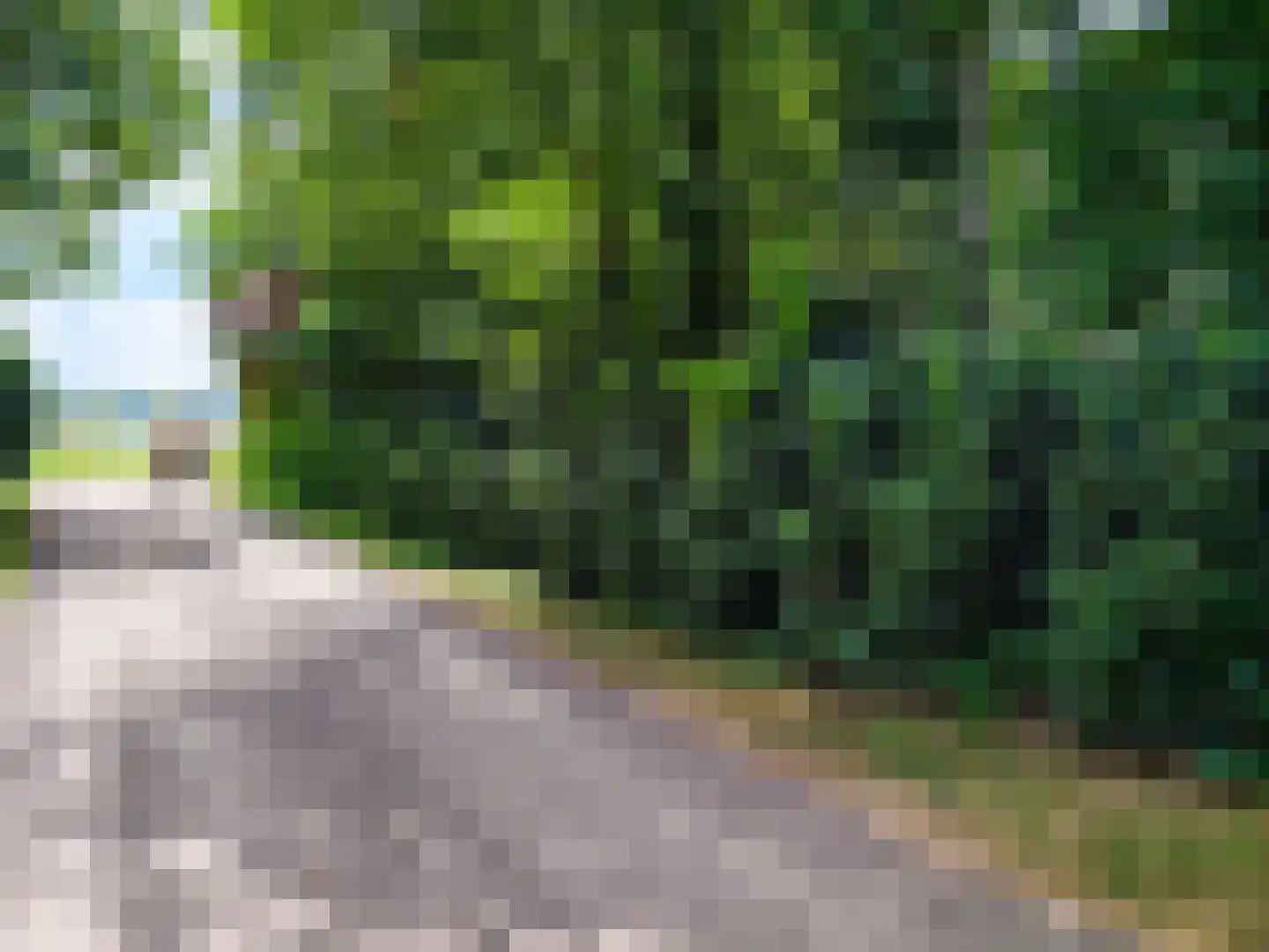 Kamillepad 9 Wanssum thumbnail 61
