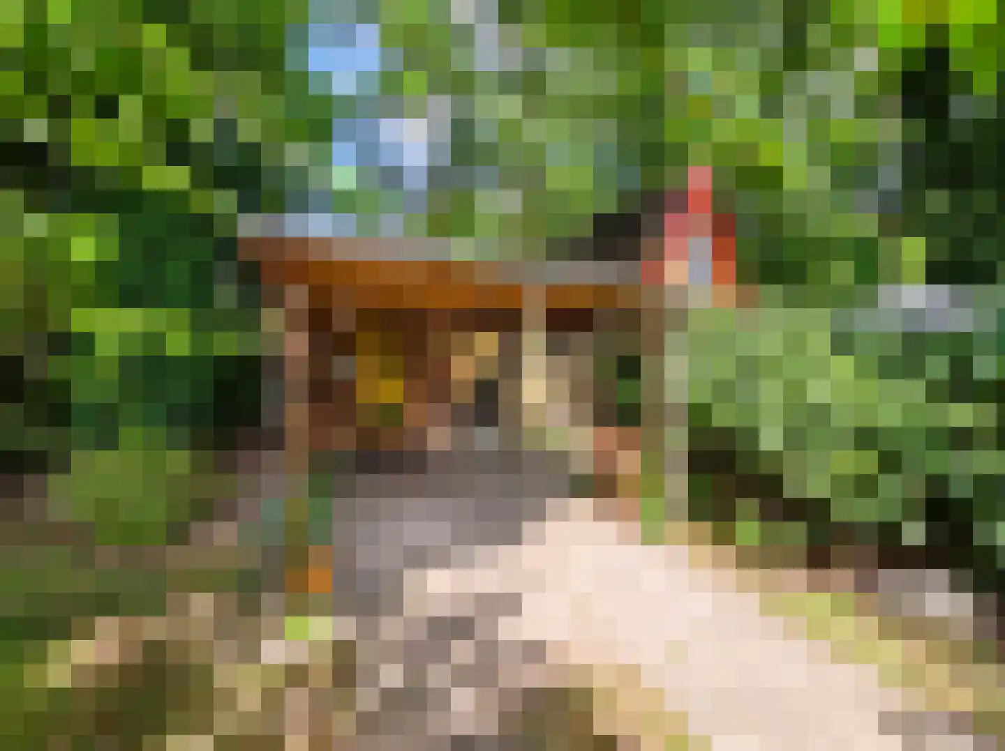 Kamillepad 9 Wanssum thumbnail 62
