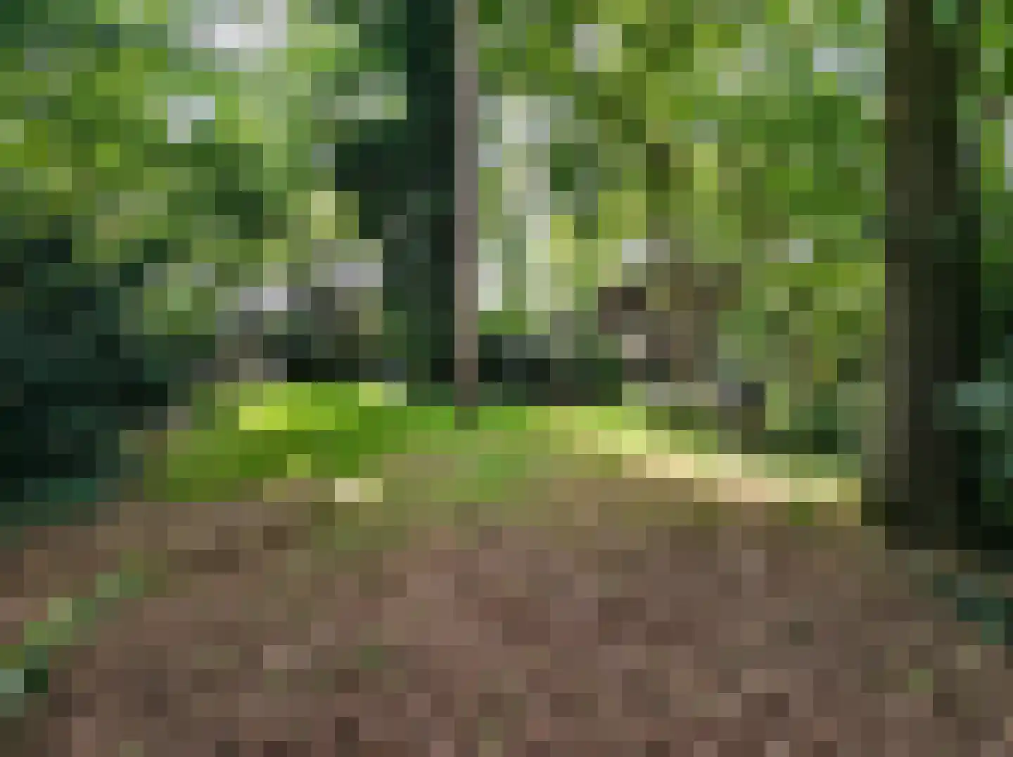 Kamillepad 9 Wanssum thumbnail 68