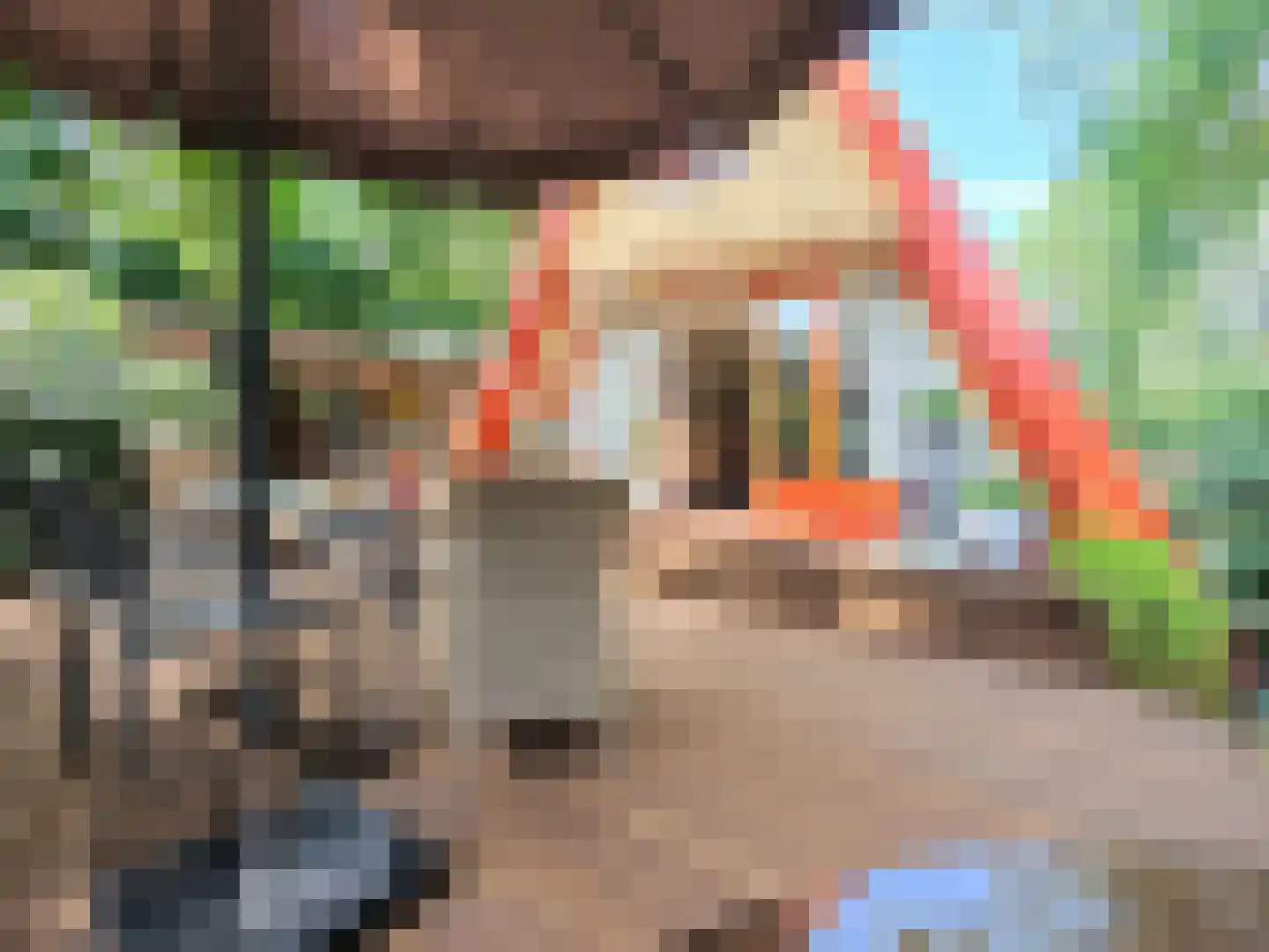 Kamillepad 9 Wanssum thumbnail 7