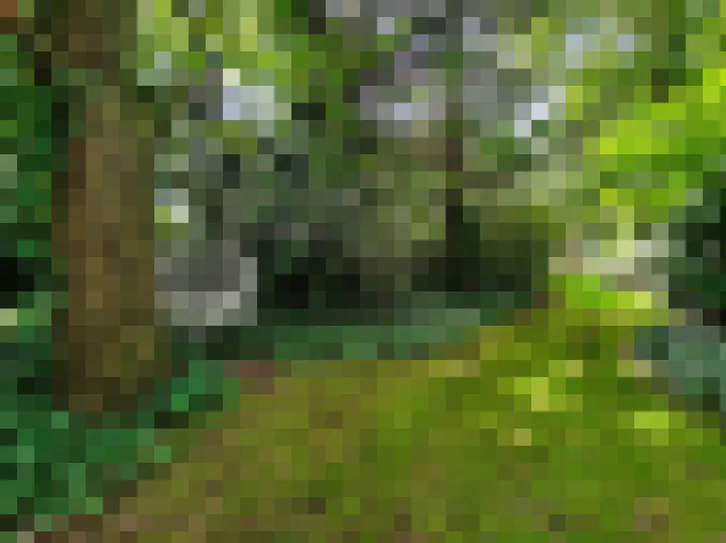 Kamillepad 9 Wanssum thumbnail 71