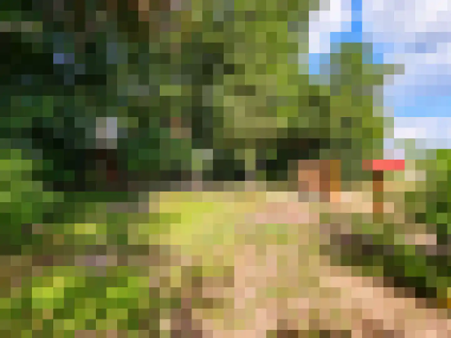 Kamillepad 9 Wanssum thumbnail 74