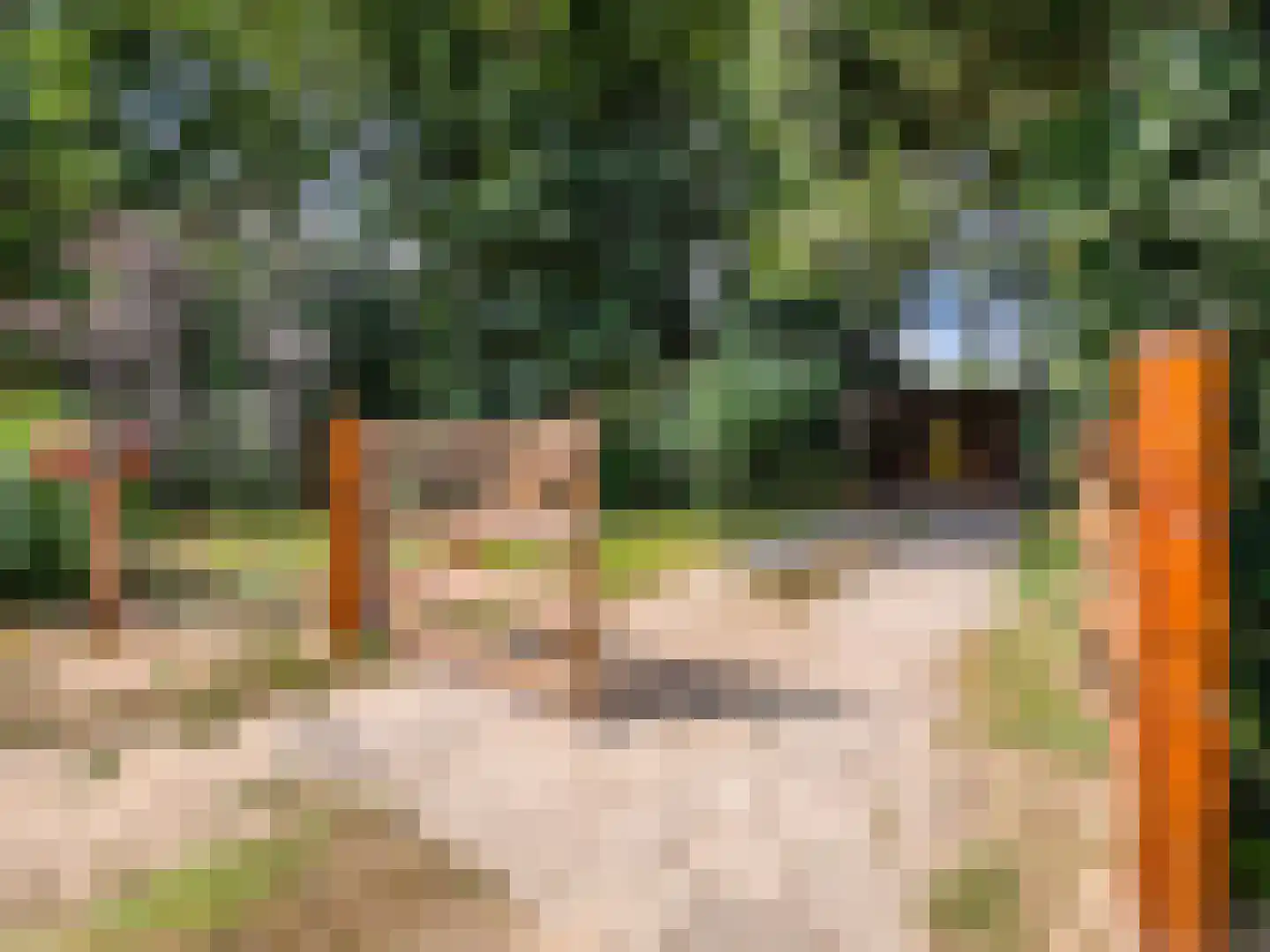 Kamillepad 9 Wanssum thumbnail 75
