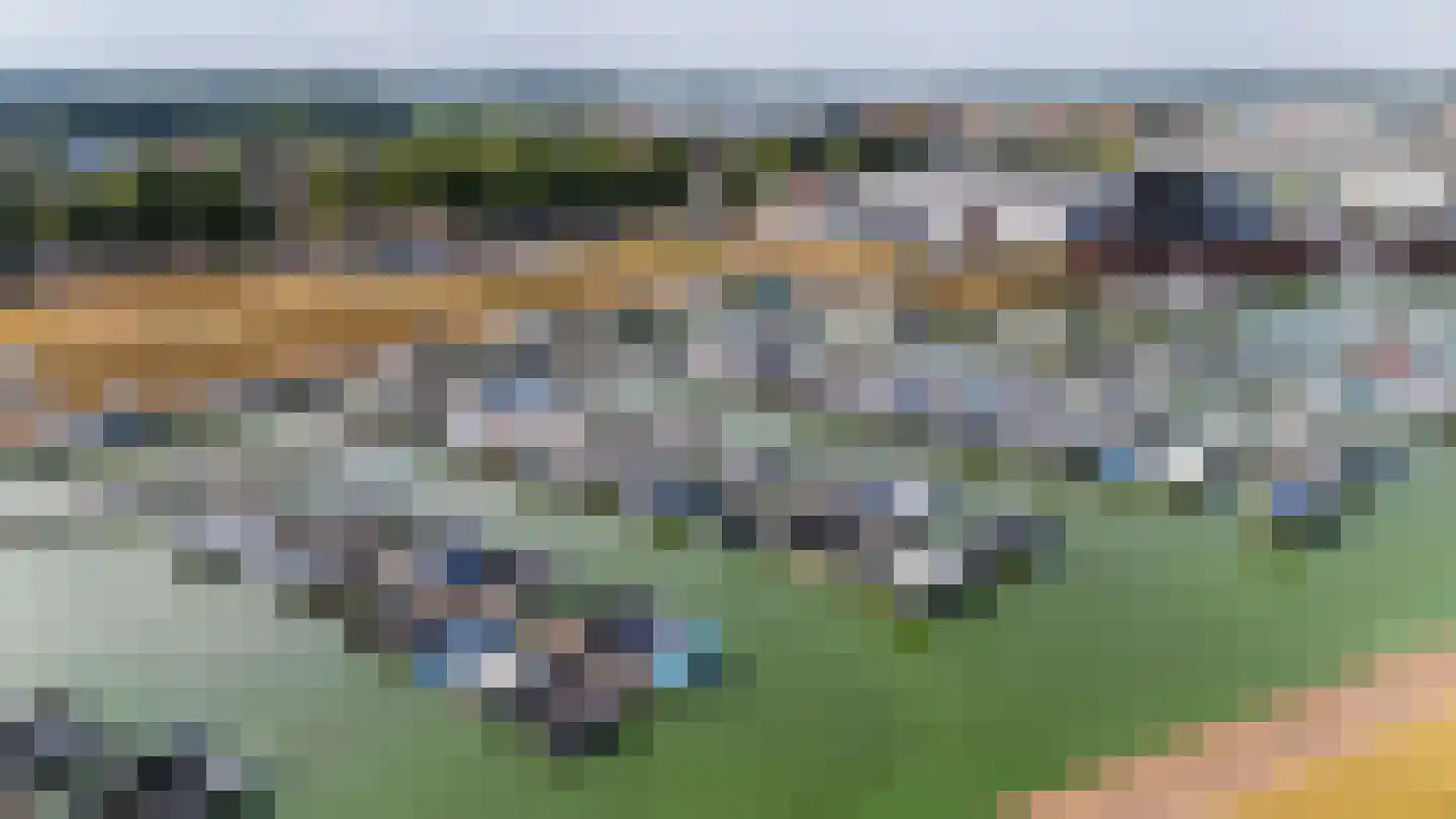 Kamillepad 9 Wanssum thumbnail 76