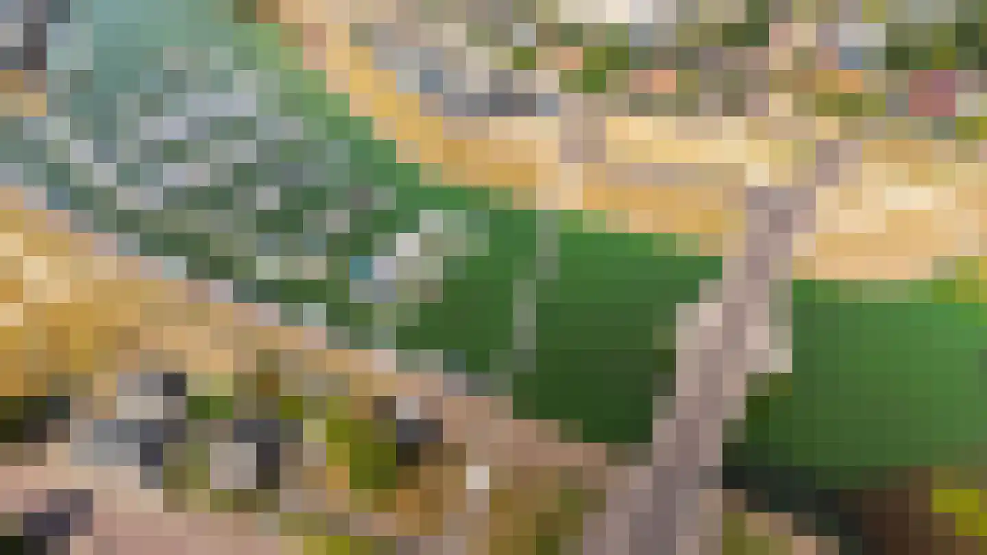 Kamillepad 9 Wanssum thumbnail 77