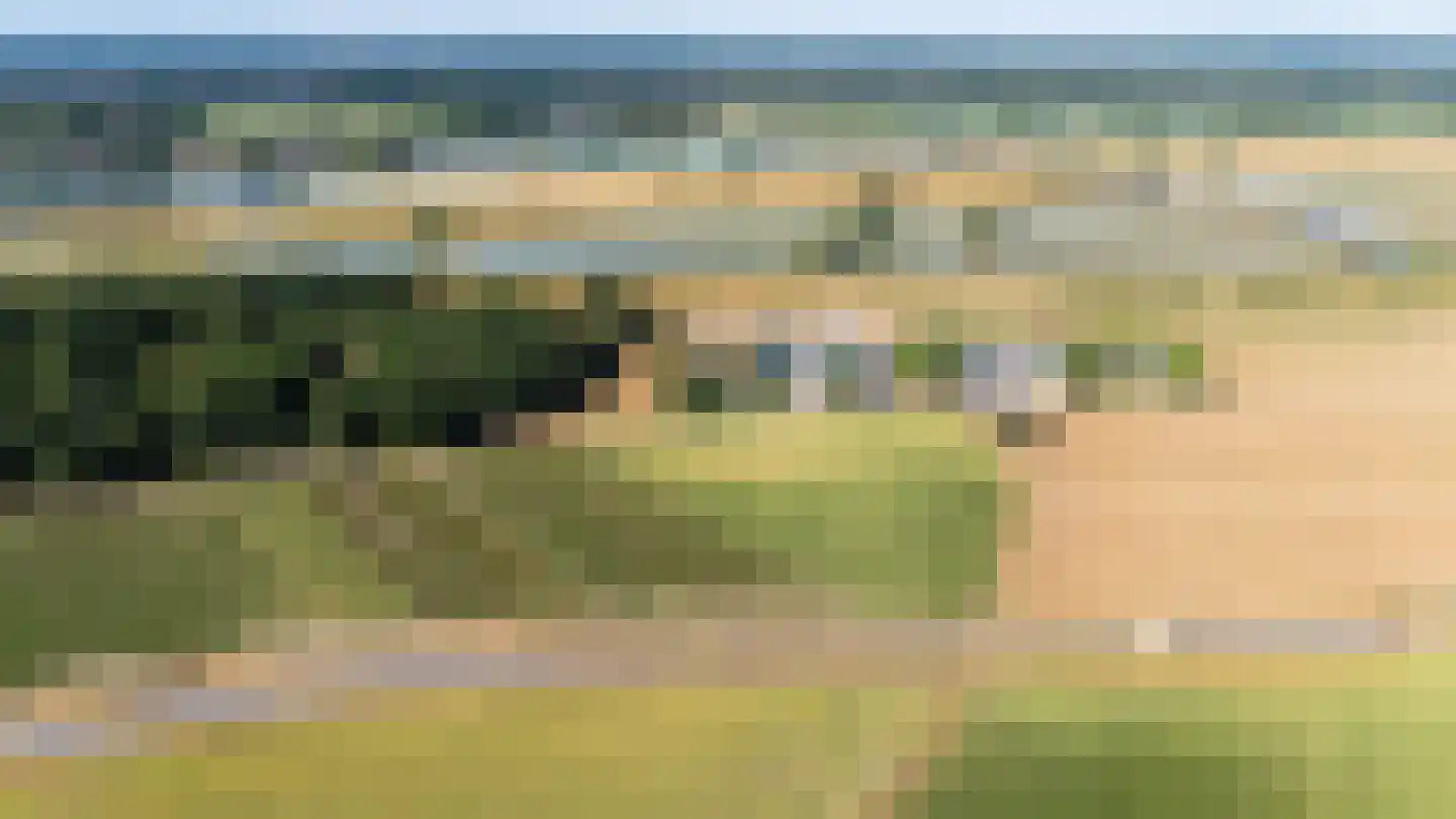 Kamillepad 9 Wanssum thumbnail 79