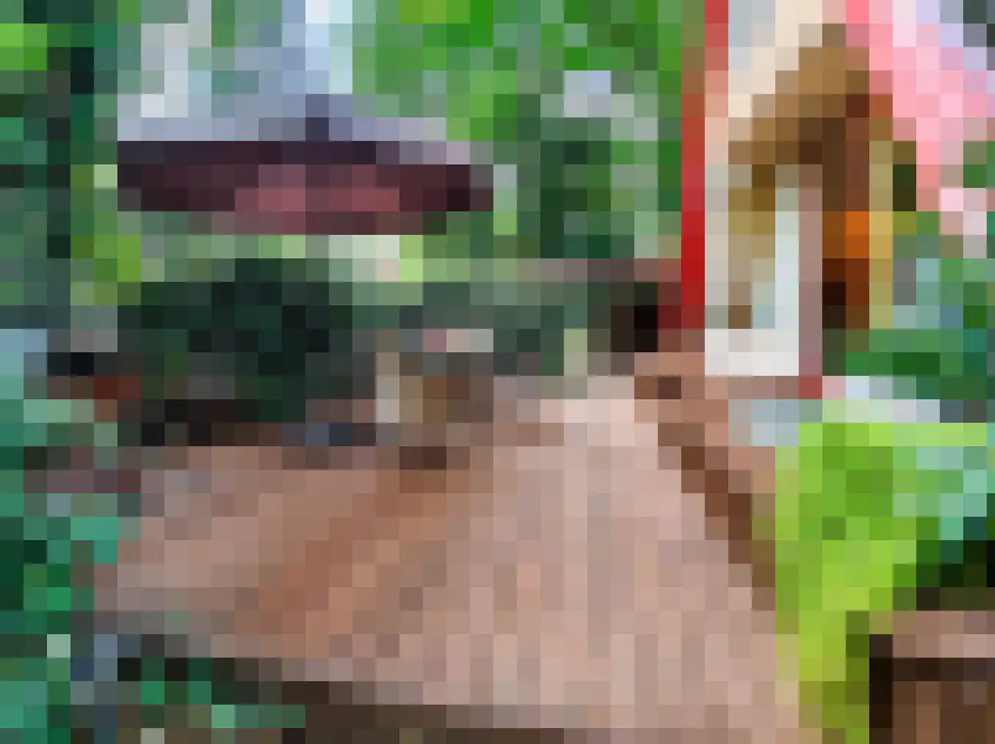 Kamillepad 9 Wanssum thumbnail 8