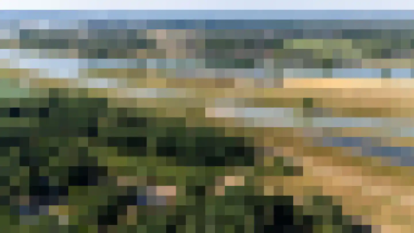 Kamillepad 9 Wanssum thumbnail 80