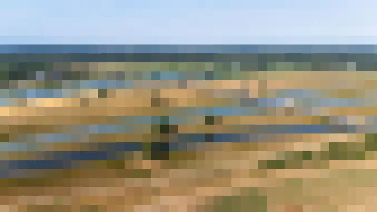 Kamillepad 9 Wanssum thumbnail 81