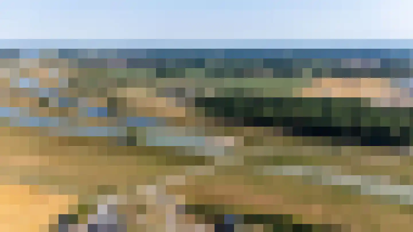Kamillepad 9 Wanssum thumbnail 82