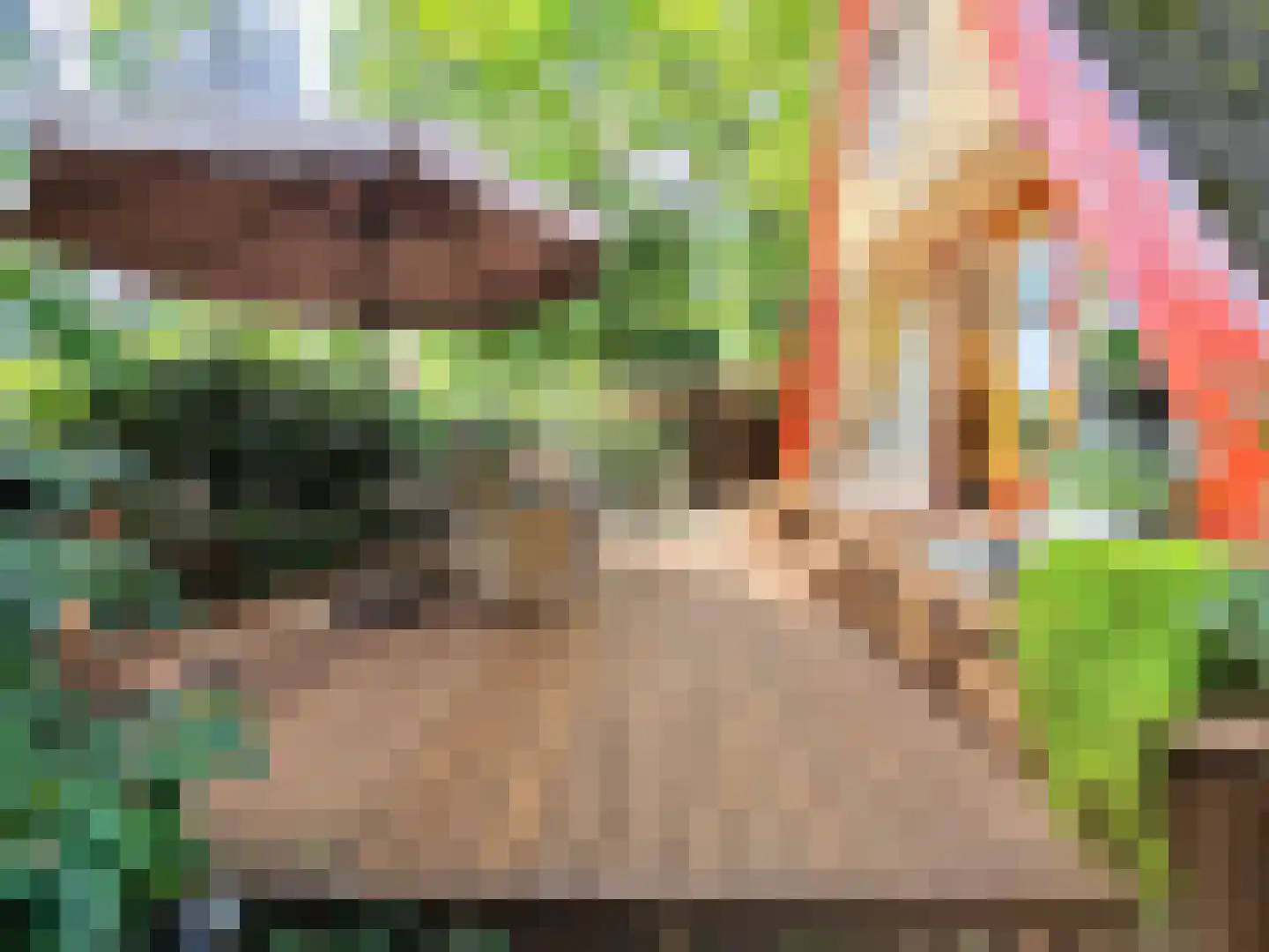 Kamillepad 9 Wanssum thumbnail 9