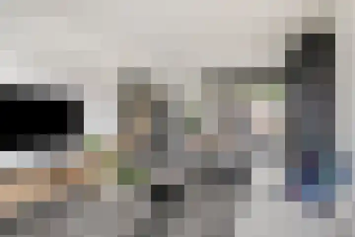 Kamillestraat 11 Bergeijk thumbnail 5