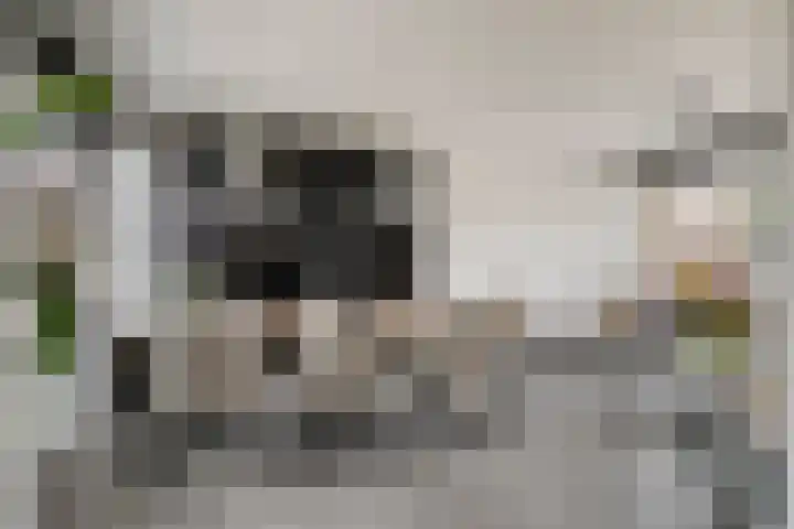 Kamillestraat 11 Bergeijk thumbnail 6