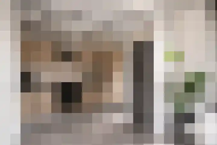 Kamillestraat 11 Bergeijk thumbnail 7