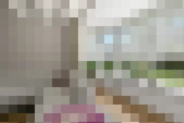 Kamillestraat 14 Krommenie thumbnail 11