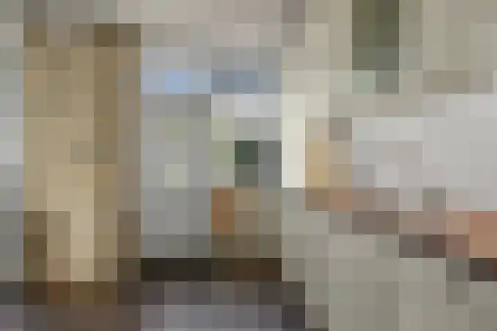 Kamillestraat 14 Krommenie thumbnail 14