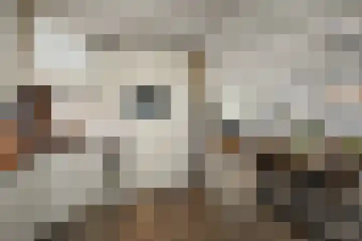 Kamillestraat 14 Krommenie thumbnail 15