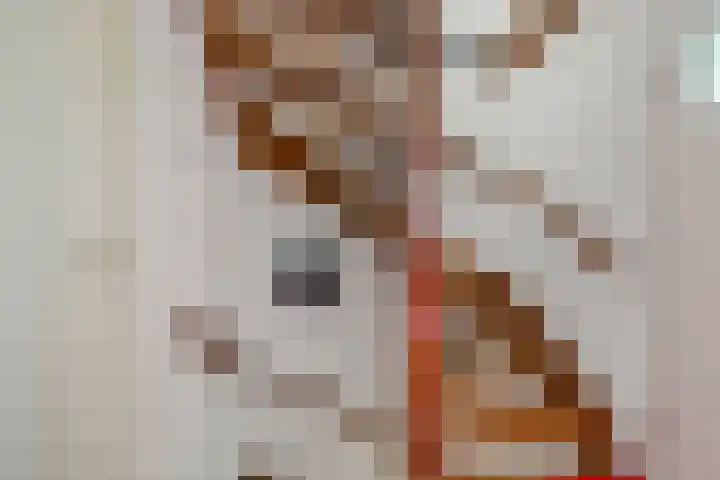 Kamillestraat 14 Krommenie thumbnail 18