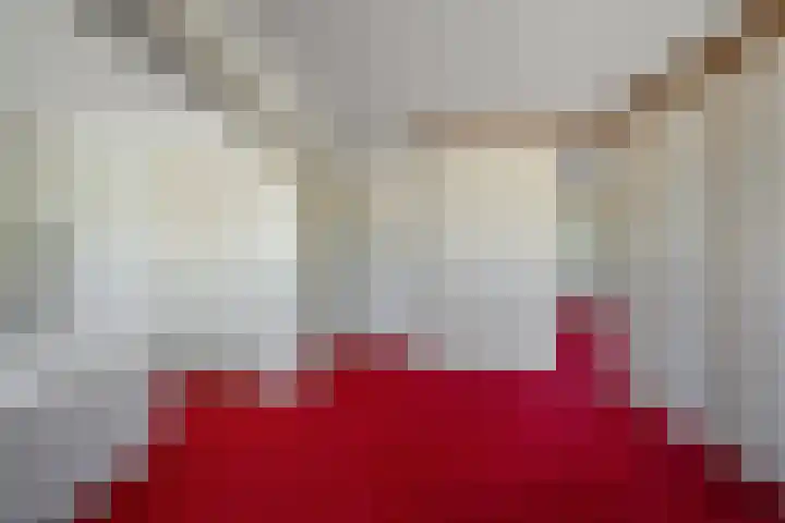 Kamillestraat 14 Krommenie thumbnail 21