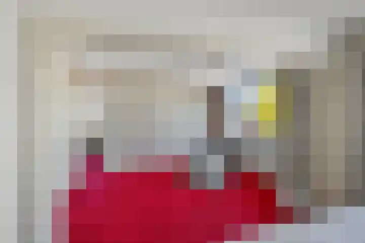 Kamillestraat 14 Krommenie thumbnail 23