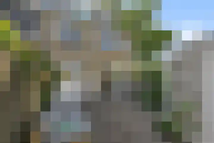 Kamillestraat 14 Krommenie thumbnail 36