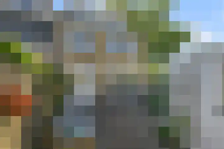 Kamillestraat 14 Krommenie thumbnail 38