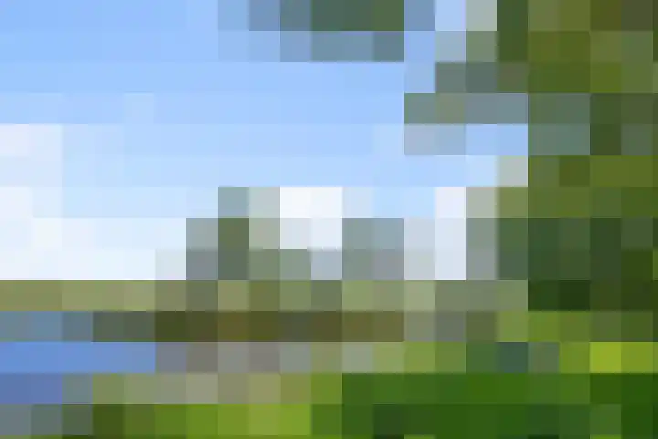 Kamillestraat 14 Krommenie thumbnail 4