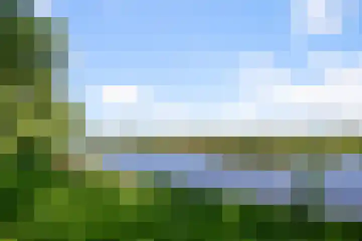Kamillestraat 14 Krommenie thumbnail 42