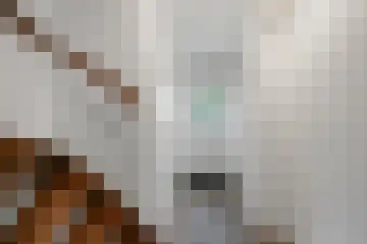 Kamillestraat 14 Krommenie thumbnail 5