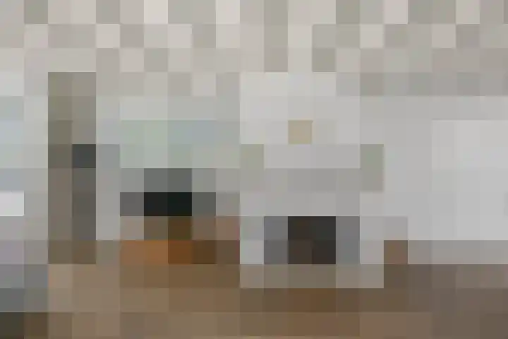 Kamillestraat 14 Krommenie thumbnail 8