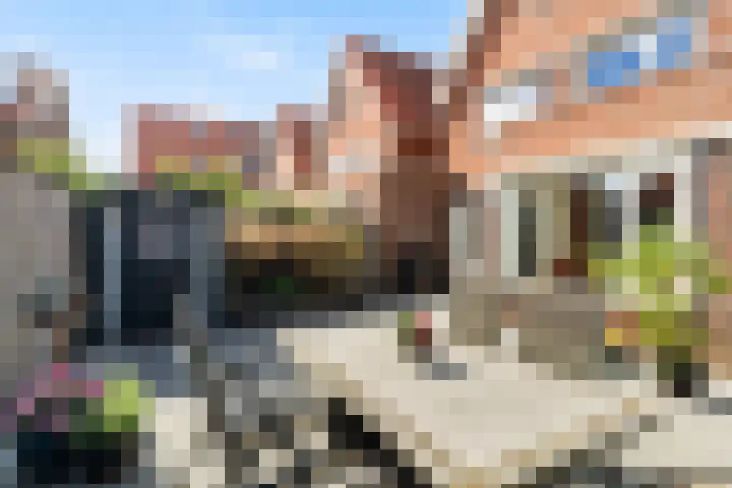 Kamillestraat 16 Wateringen thumbnail 23