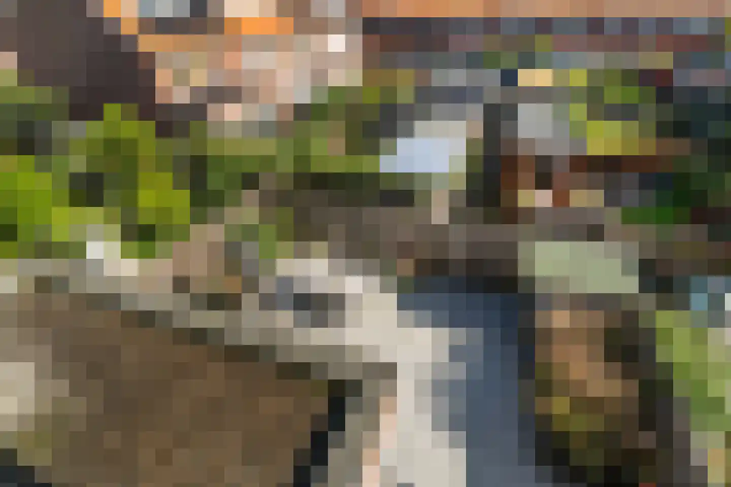 Kamillestraat 16 Wateringen thumbnail 26