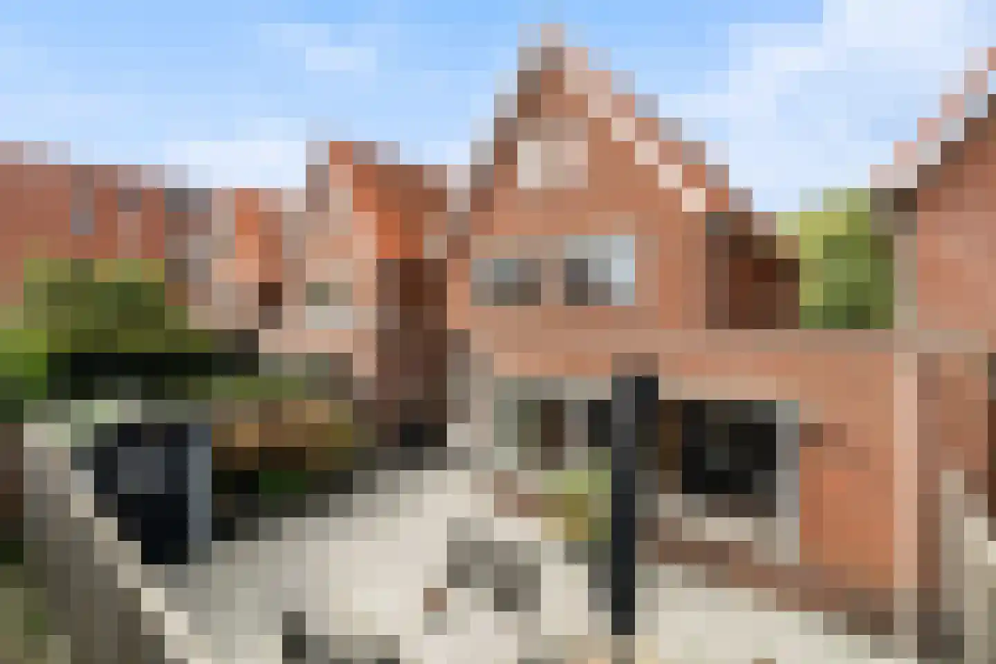 Kamillestraat 16 Wateringen thumbnail 4