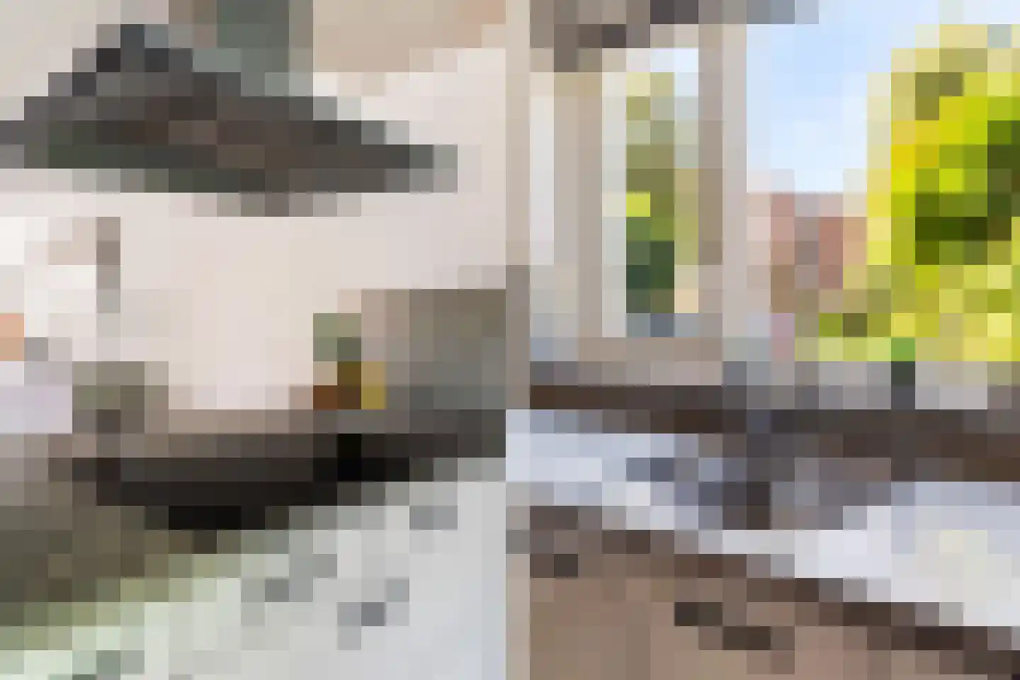 Kamillestraat 16 Wateringen thumbnail 5