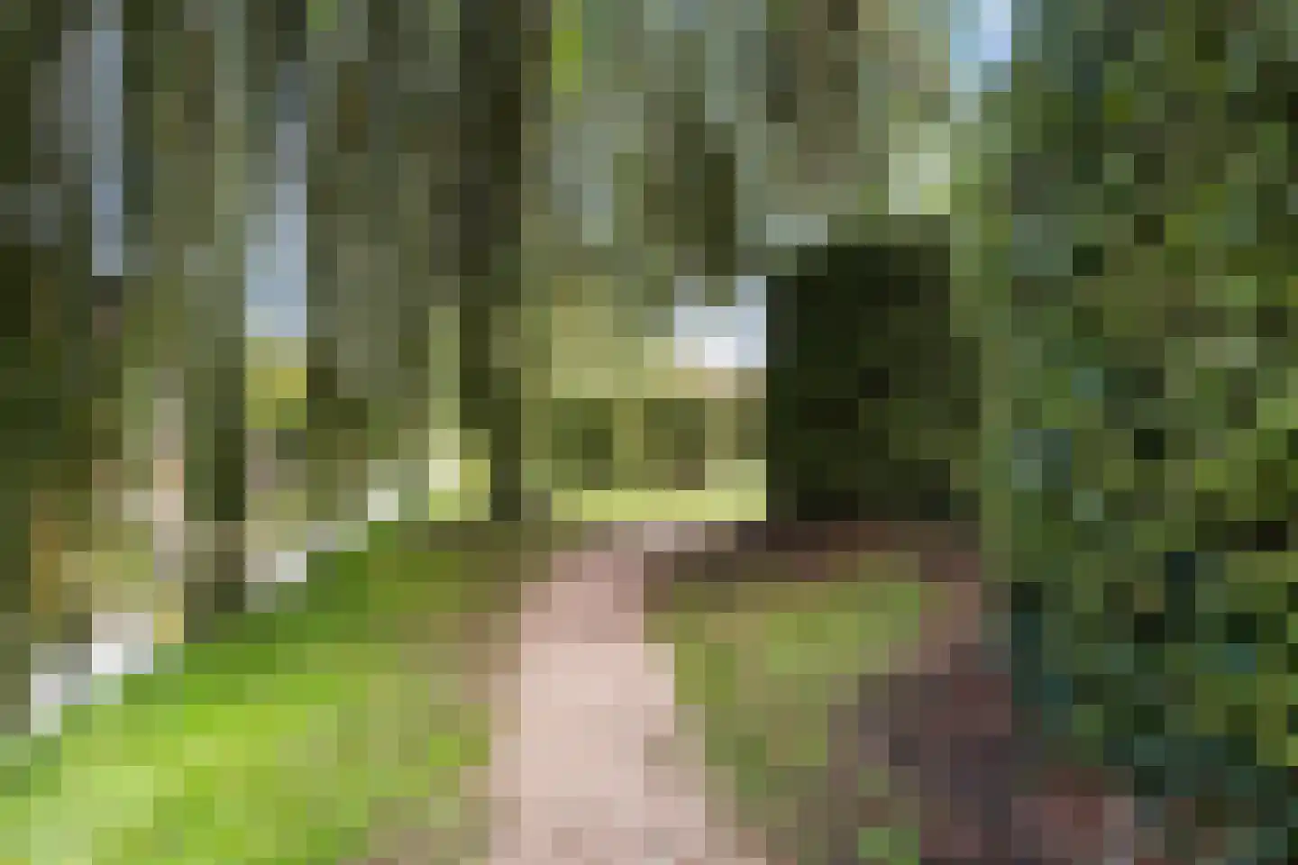 Kamillestraat 16 Wateringen thumbnail 52